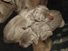 DSCF3121_800